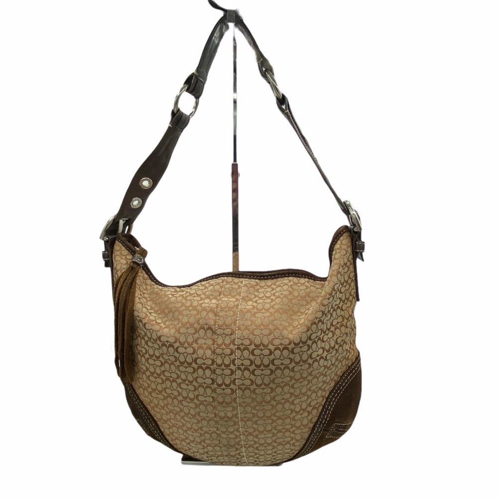 Coach Carly Hobo Bag